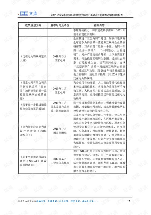 2021-2025年中國電網信息技術服務行業(yè)調研及利基市場戰(zhàn)略咨詢報告 互聯(lián)網銷售分析